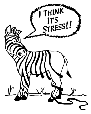 Stress Zebra